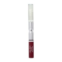 All Day Lip Color & Top Gloss - 62 Pale Cherry